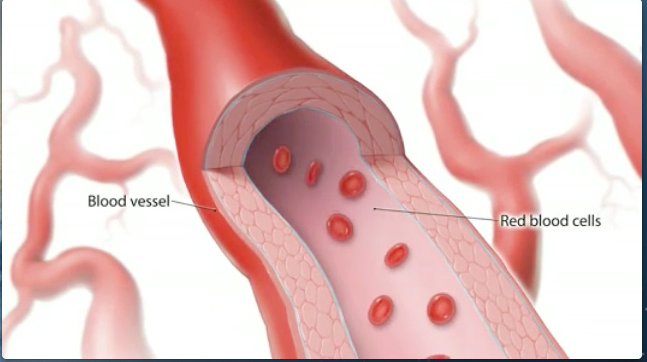 How Does AZOR amlodipine and olmesartan Work Azor cosette